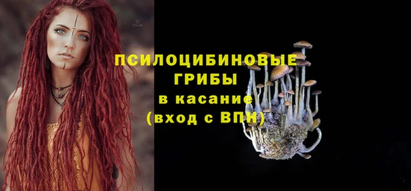 кокс Алексин