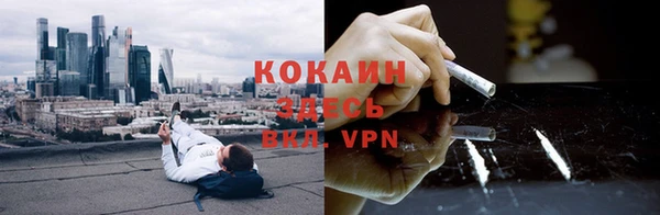 кокс Алексин